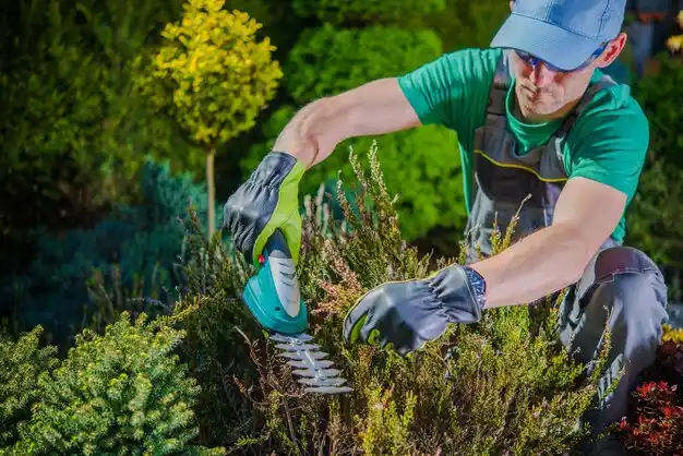 landscaping services Ashtabula